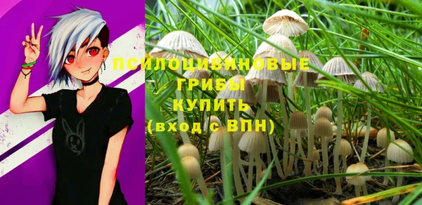 круглые Карталы