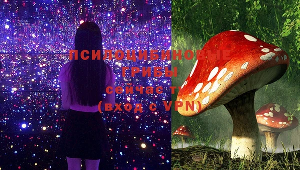 МДМА Карпинск