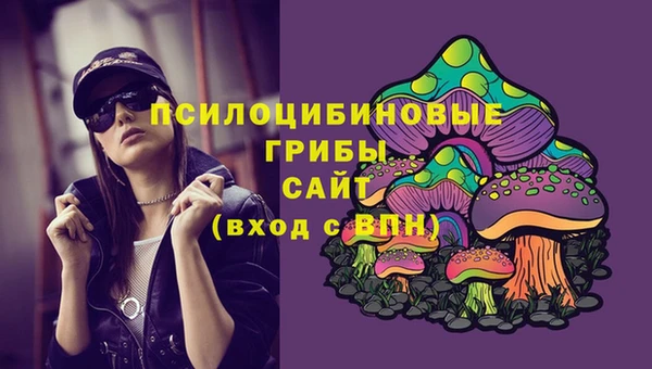 МДМА Карпинск