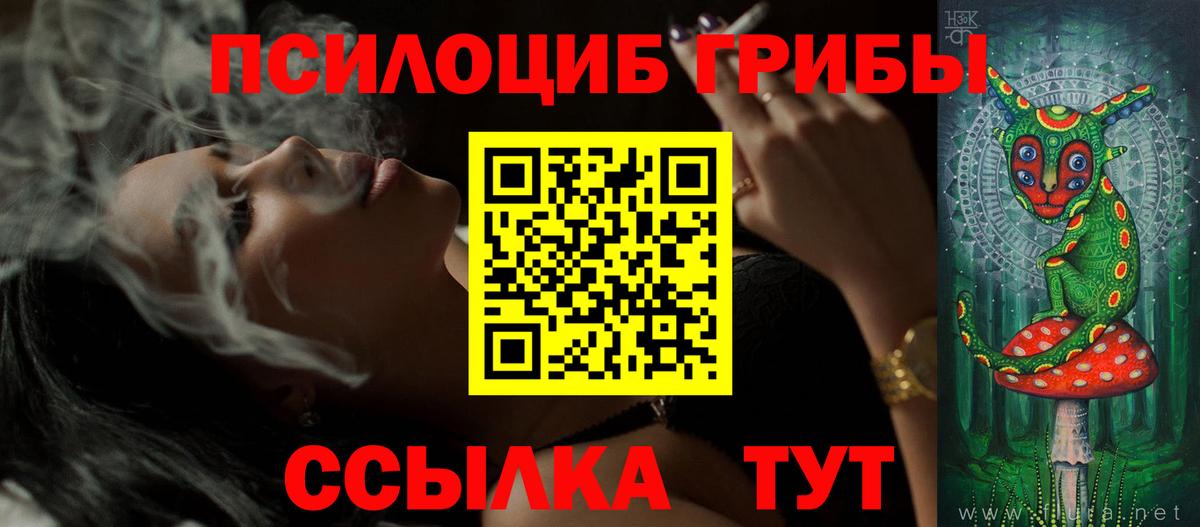 Галлюциногенные грибы Psilocybine cubensis  Балашиха 