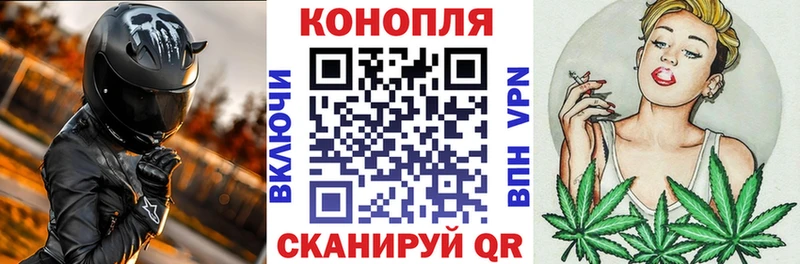 Конопля планчик  где найти наркотики  Балашиха 